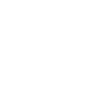 PopUp Bagels